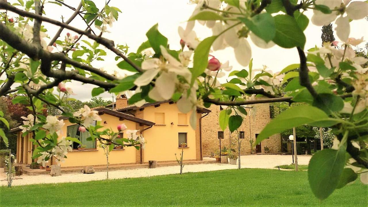 Agriturismo Il Podere Hotel Petrignano Exterior foto