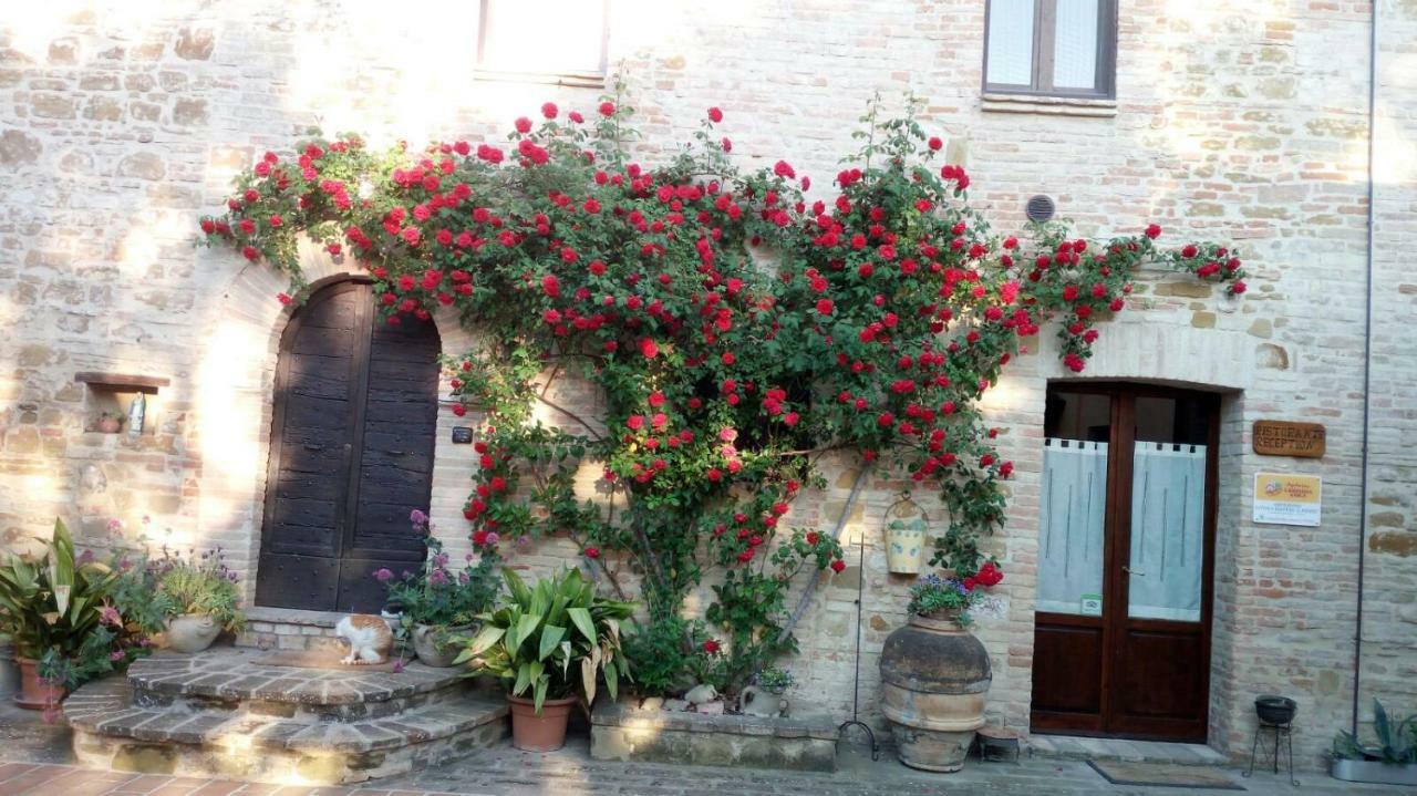 Agriturismo Il Podere Hotel Petrignano Exterior foto
