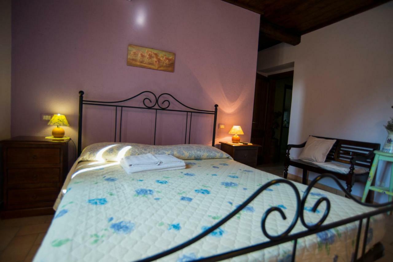 Agriturismo Il Podere Hotel Petrignano Exterior foto